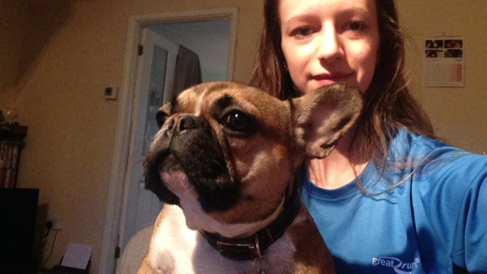 french bulldog rescue gb