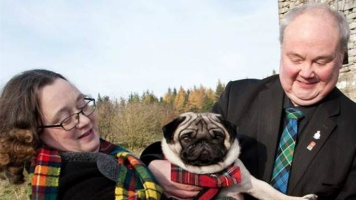 scottish pug club fred the pug to welcome the line scottish pug club fred the pug to welcome the line